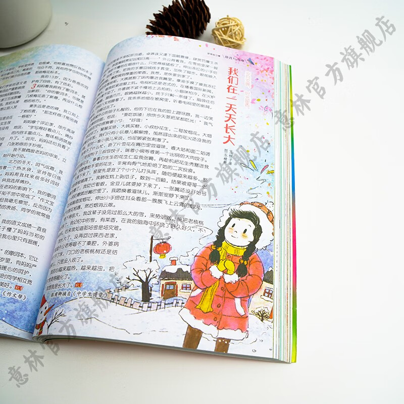 意林 2025年意林少年版合订本126-129卷小学生课外阅读24年120-125卷 24年意林少年版合订本2册(120卷、121卷)