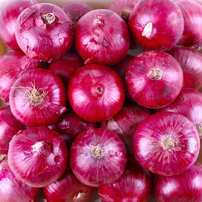 中鲜生 云南紫皮洋葱现挖红皮洋葱新鲜蔬菜生鲜当季新鲜洋葱 9斤装【普通装】