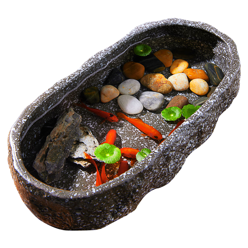 寵小帥古法養(yǎng)魚生態(tài)缸碗蓮青龍石淺缸陶瓷盆客廳辦公室桌面創(chuàng)意仿古魚缸 陶瓷盆雪花灰【單盆】 43x20.5x11cm（大號）