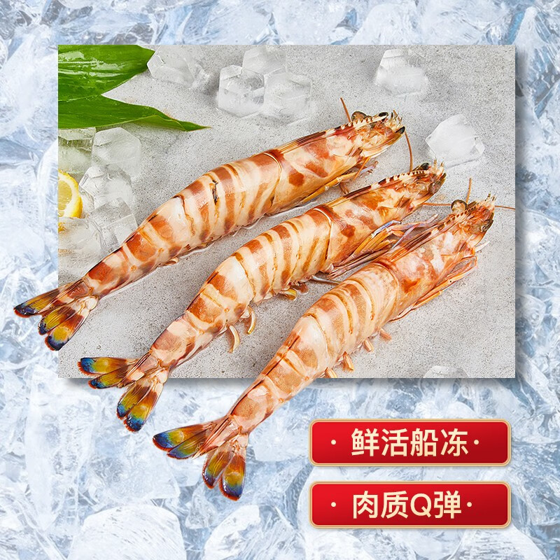 潮海堂 活冻九节虾 野海捕大虾对虾花虾九节虾竹节虾 火锅食材海鲜