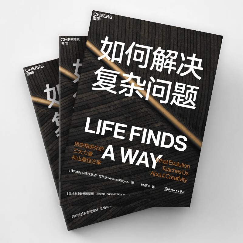 如何解决复杂问题 图书