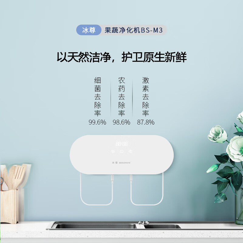 冰尊(BENSHION)果蔬清洗机家用洗菜机除菌99%羟基水离子食材净化机解毒机消毒机净化器M3 BS-M3白色