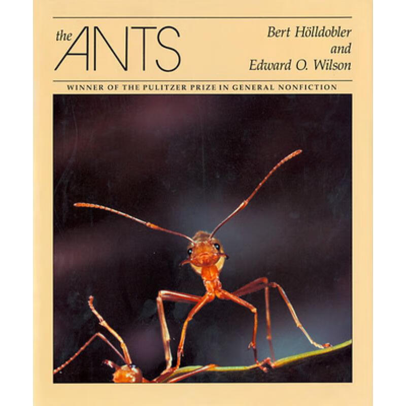 预订 The Ants