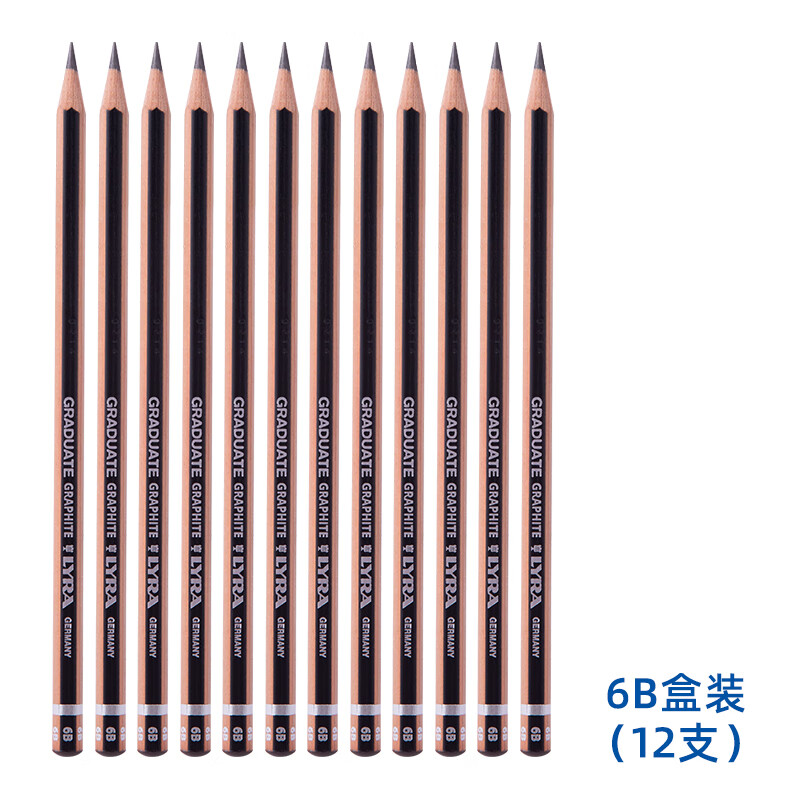 天琴炭畫(huà)素描鉛筆F6B初學(xué)者學(xué)生繪畫(huà)鉛筆專業(yè)成人素描筆繪圖速寫(xiě)美術(shù)用品工具素描筆 LY-石墨鉛筆-6B(12支盒裝)
