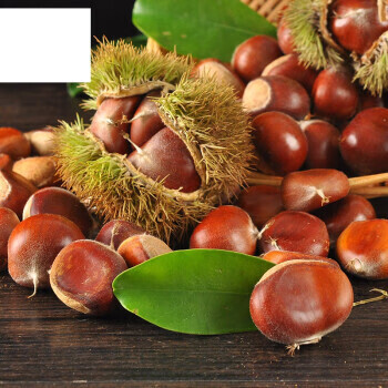 云南板栗生新鲜栗子带壳毛栗子3斤板粟油栗现摘