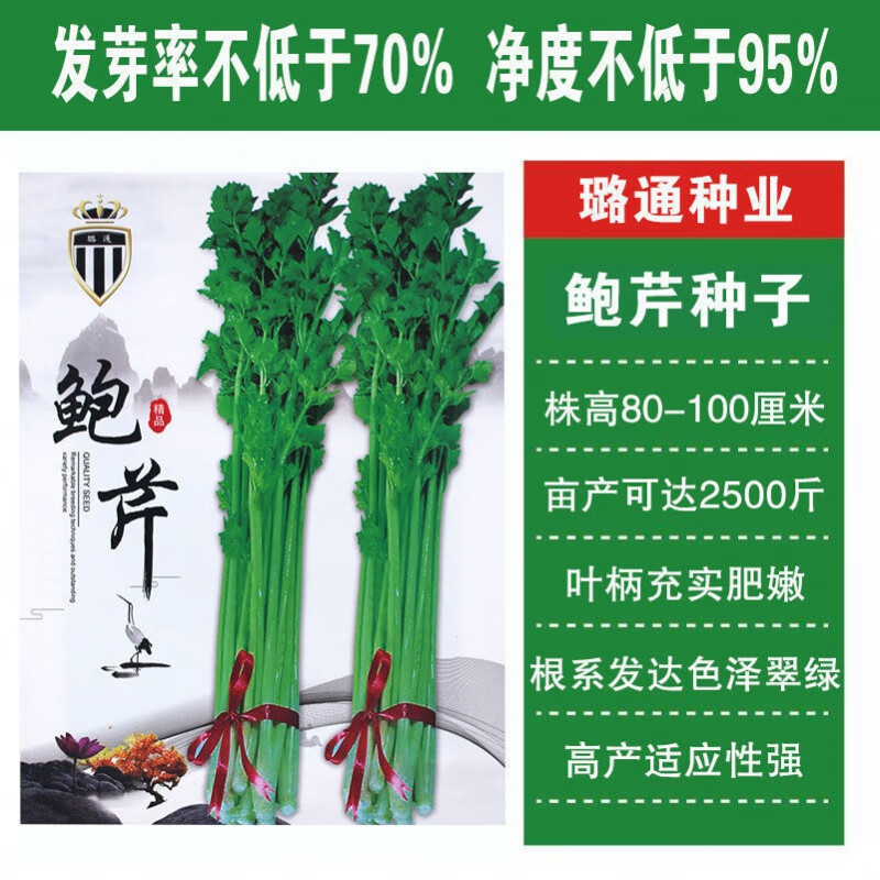 新种章丘鲍芹种子实心长细脆嫩芹菜种籽高产抗病大田播种蔬菜种子