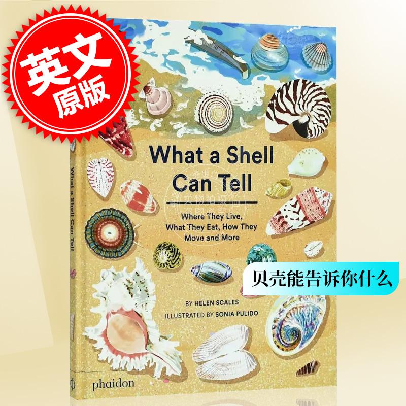 现货 贝壳能告诉你什么 英文原版 what a shell can tell