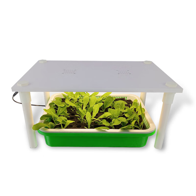 宸华都市农艺无土栽培水培蔬菜育幼苗种植盒培育种植盘芽苗种植盘生菜