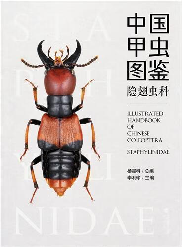 中国甲虫图鉴:隐翅虫科杨星科海峡书局出版社有限公司9787556706860