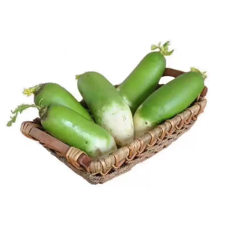 河南青蘿卜【同價(jià)直播間】 新鮮蔬菜現(xiàn)挖現(xiàn)發(fā) YBDR 凈重5斤