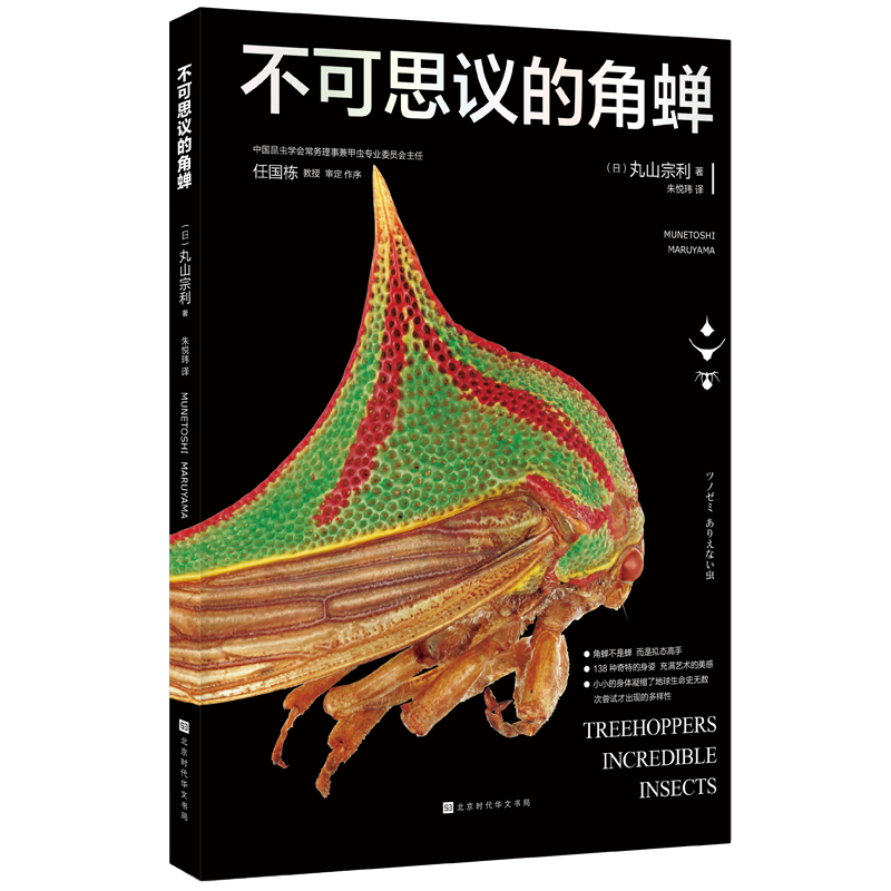 不可思议的角蝉
