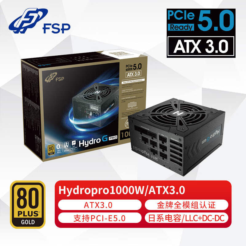 全汉（FSP）额定1000W Hydro G Pro1000金牌全模组电源（ATX3.0标准/PCI-E5.0接口/全日系电解电容/DC-DC）