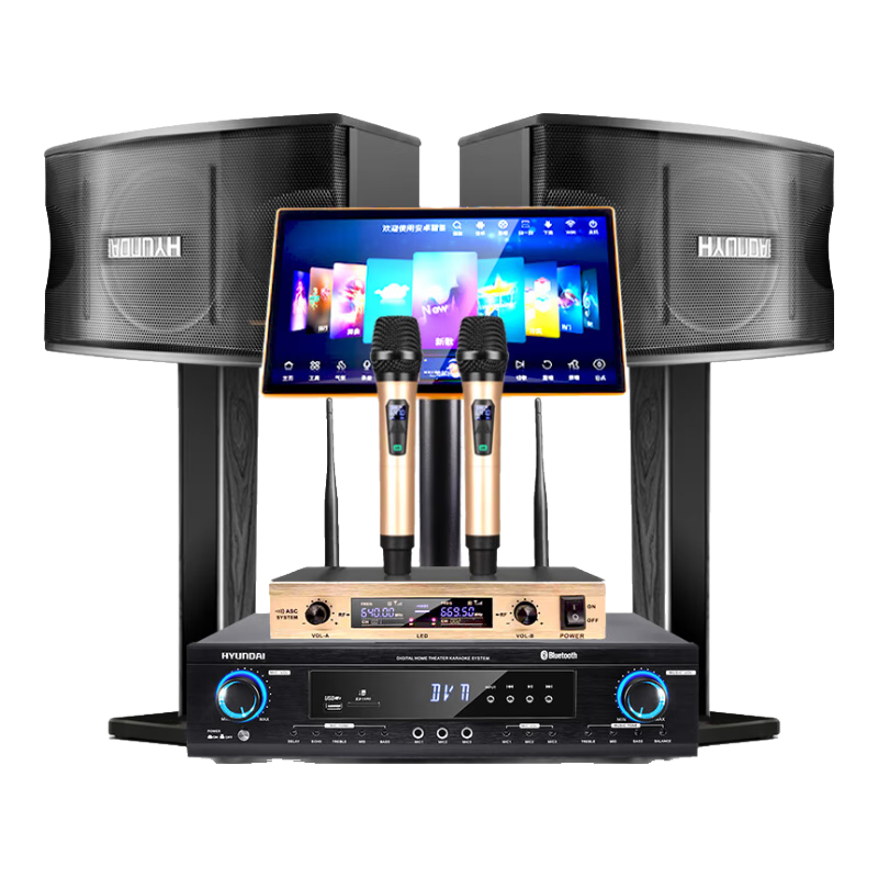HYUNDAI現(xiàn)代 家庭影院ktv音響套裝電腦電視客廳家用k歌點(diǎn)歌卡拉ok全套專業(yè)功放音箱設(shè)備 【專業(yè)版】10吋點(diǎn)歌機(jī)套裝
