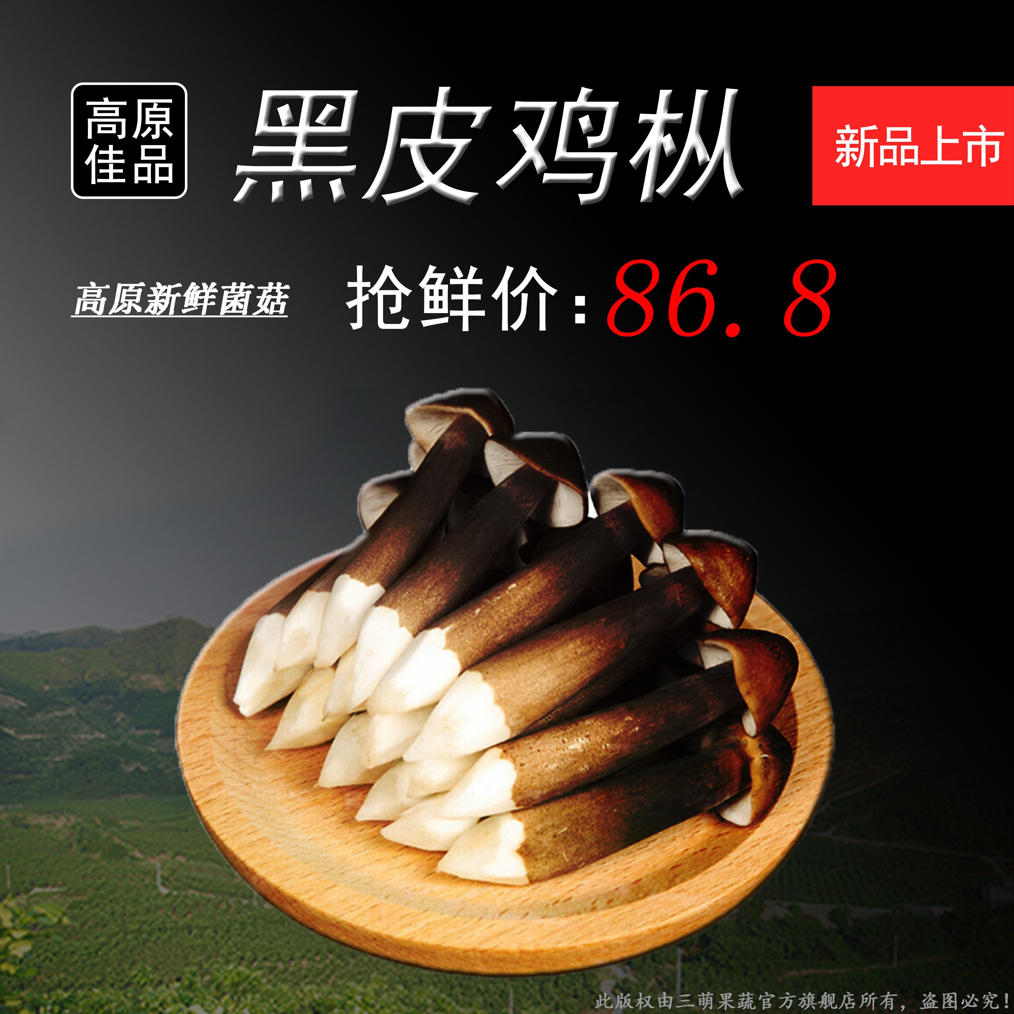 三萌果蔬黑皮鸡枞菌(顺丰空运)云南特产鲜菌菇  炒煮炖食材配菜500g