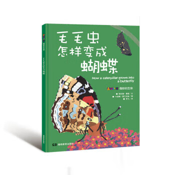 毛毛虫怎样变成蝴蝶 [英]卡洛琳·富兰克林 绘 湖南教育出版社