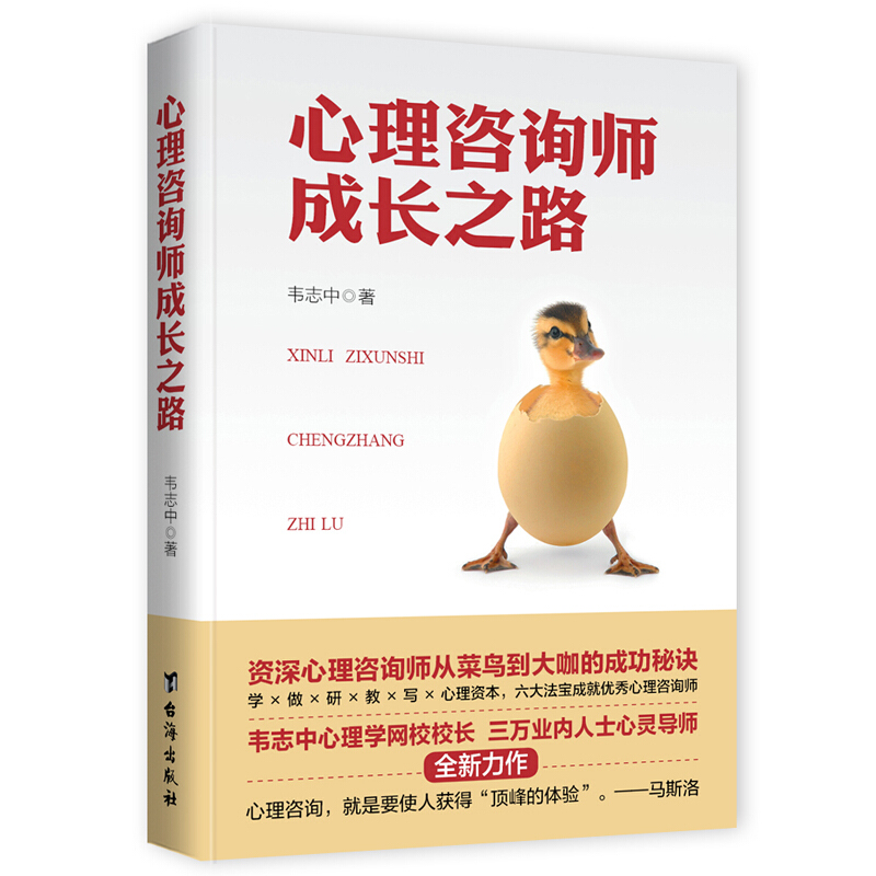 心理咨询师成长之路 心理咨询与治疗 新华书店正版书籍