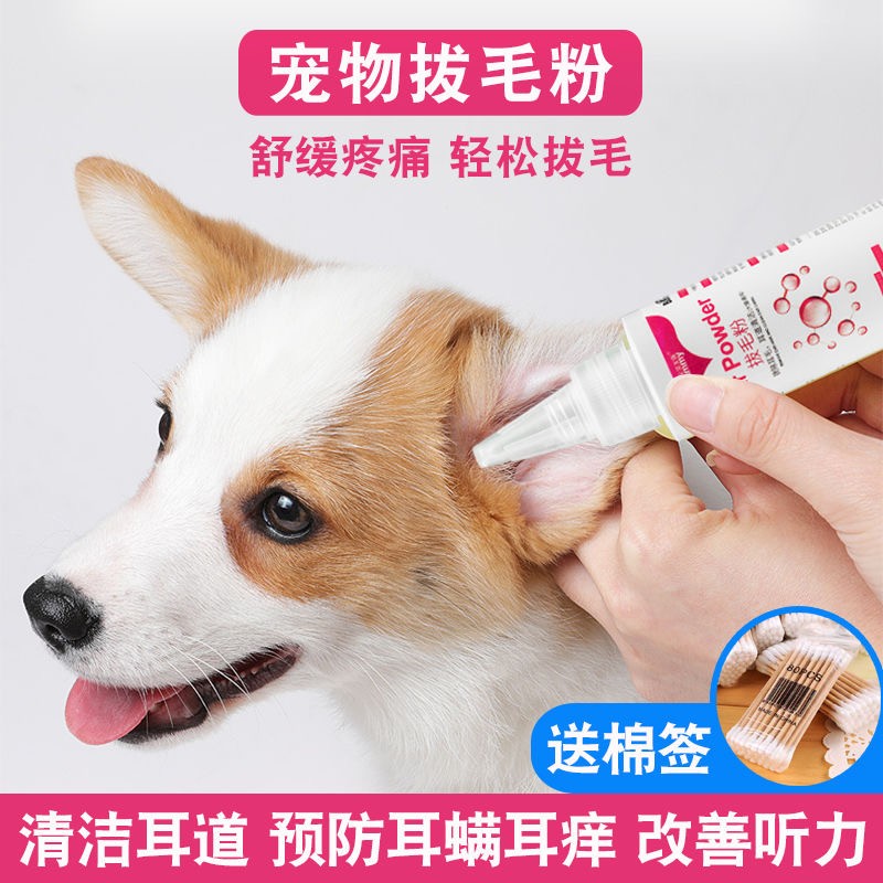 宝莱美露泰迪洁耳粉金毛除耳毛粉猫咪耳朵粉宠物耳道清洁耳毛粉犬猫耳部护理宠物拔耳毛粉宠物用品批发零售