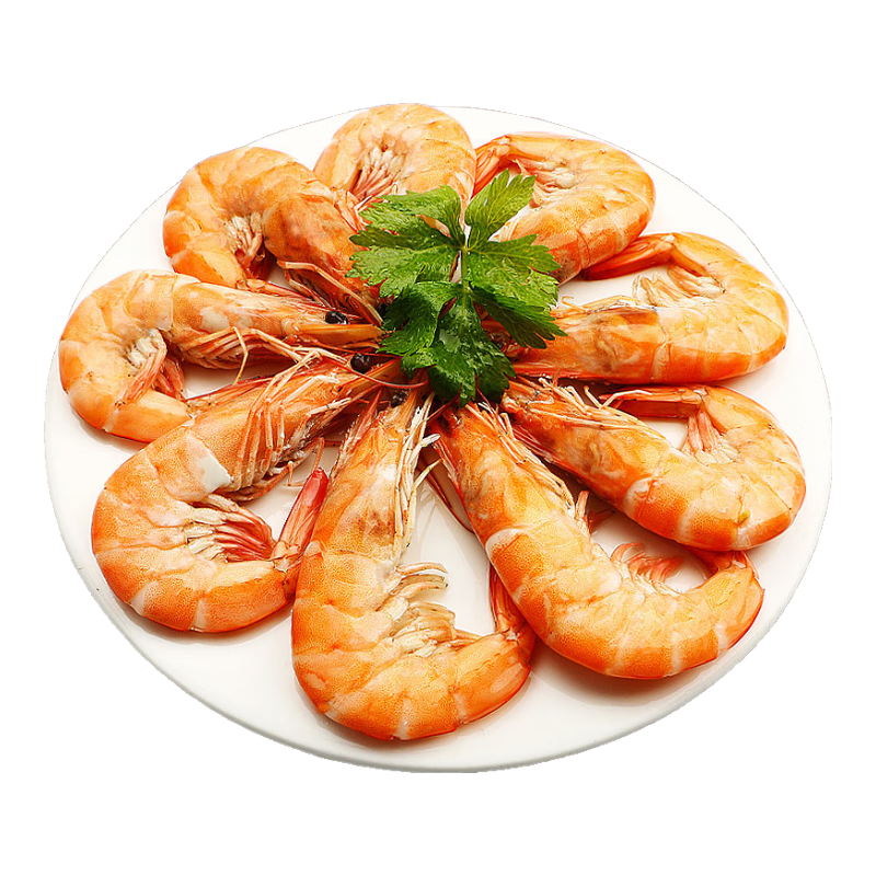   ൺϺϺװϺ30403-Դͷֱ69.2Ԫ