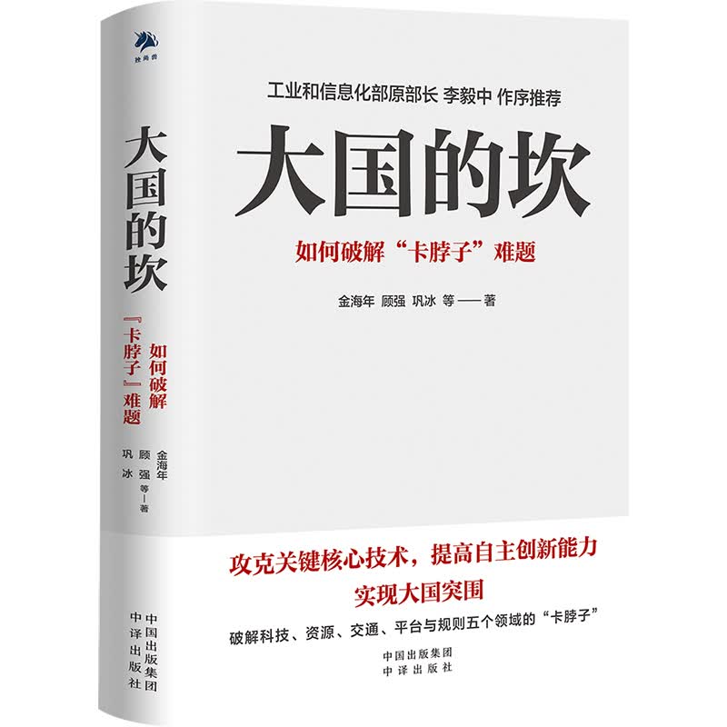 大国的坎：如何破解“卡脖子”难题 金海年//顾强//巩冰 书籍
