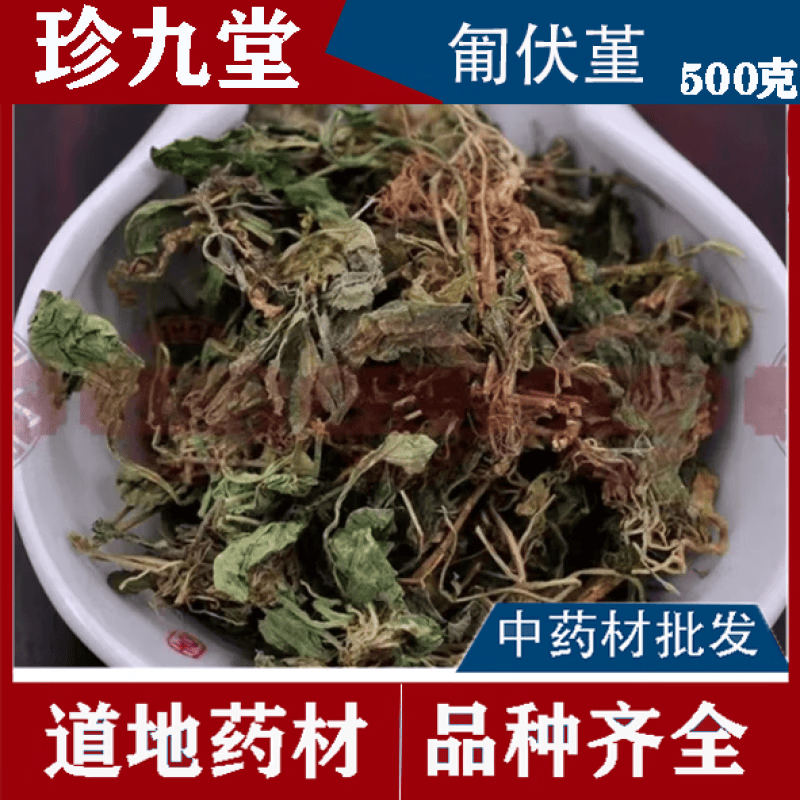 中药材 匍伏堇 七星莲 白地黄瓜 地白菜 葡伏堇 雪里青新货匍匐堇原料