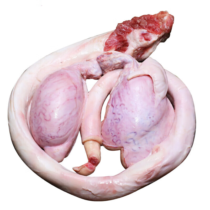 磐阙 牛鞭牛宝牛蛋 农家散养现杀新鲜黄生鲜牛三宝 牛鞭三宝食材炖汤