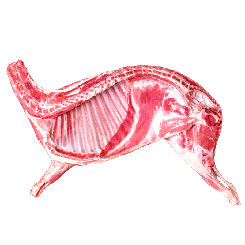 养生美味，羊肉价格走势解析-羊食光|jd羊肉历史价格查询