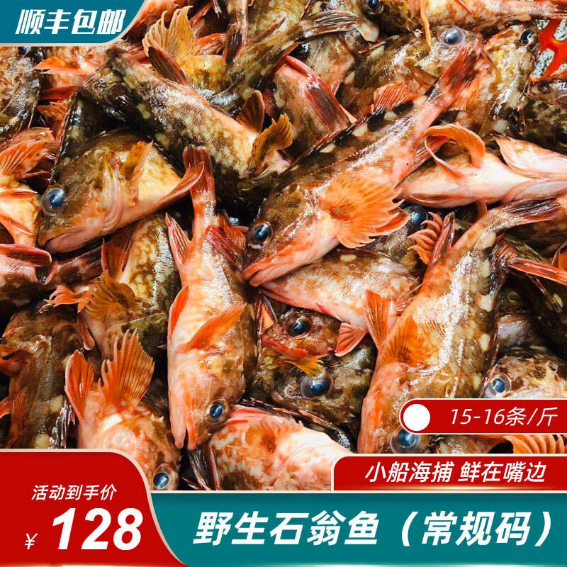 鲜水港【常规码】石九公鱼 石翁鱼15只左右/斤鲜活虎头鱼小红斑石斑