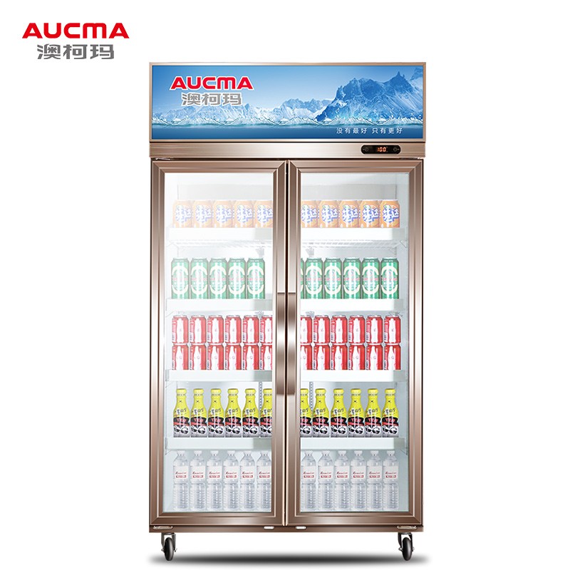 澳柯玛（AUCMA）立式双门商用展示柜 冷藏保鲜啤酒柜 饮料冷饮陈列柜 LSC-660D