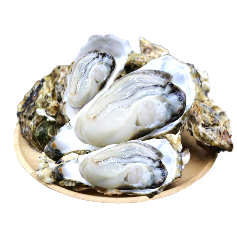 【e柿子】了解蜀皇乳山生蚝价格趋势及历史走势|什么软件可以看京东贝类价格趋势