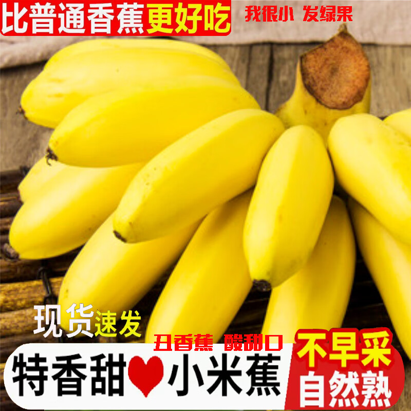 集年鲜广西小米蕉 软糯香甜当季现摘现发热带新鲜水果整箱丑拇指萌香蕉 净重4.5斤