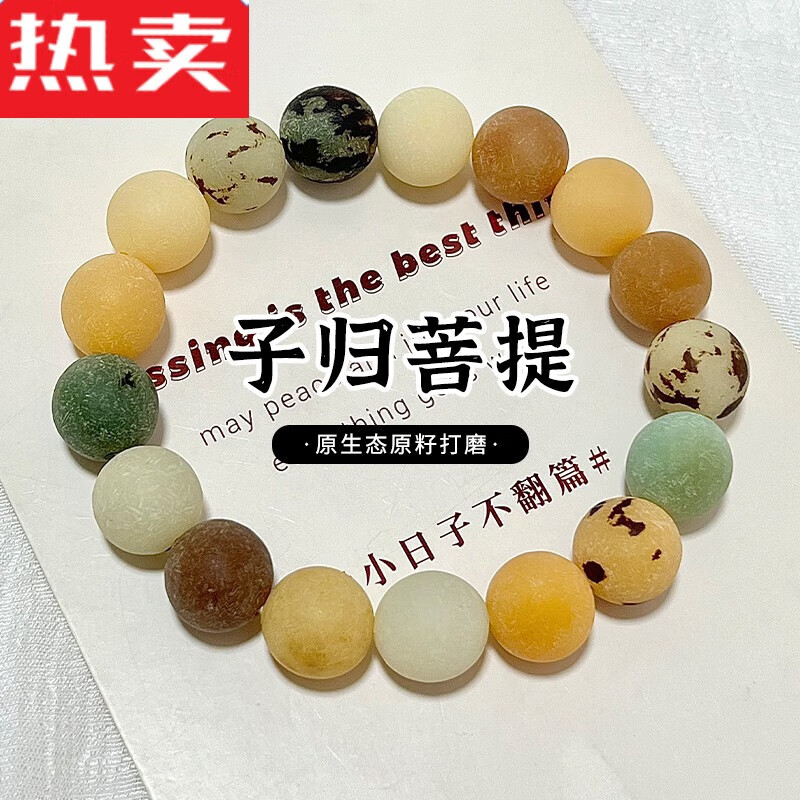 snqp原生态阴皮白菩提根手串女原籽打磨菩提子文玩绕指柔佛珠手链男