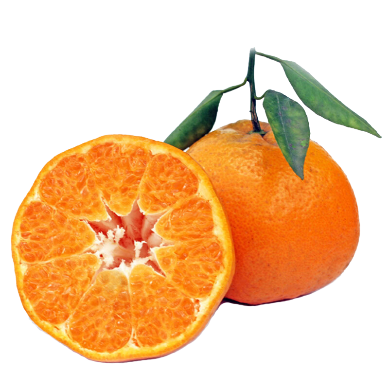 ̩ĴҰҸˮиʱ 4.5ﾫѡ80-85MM 30.8Ԫ