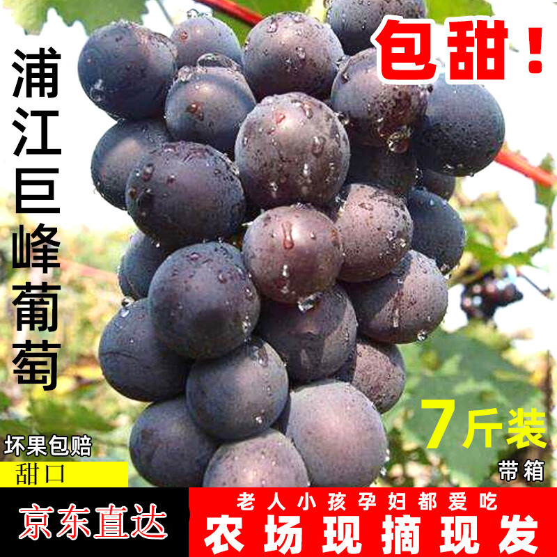 十里馋 浦江巨峰葡萄新鲜大葡萄一整串当季孕妇水果整箱 2斤