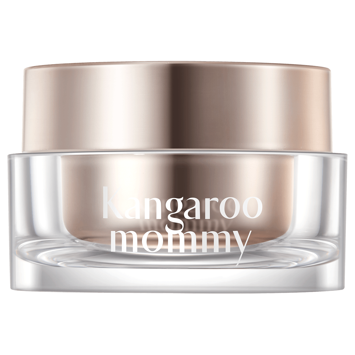 ������������˪׼�и�����Ʒ��ױ�����������˪ױǰ��������ױƷŮ��ױ ����������ɫ������˪48g