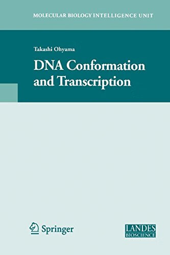 预订 DNA Conformation and Transcription
