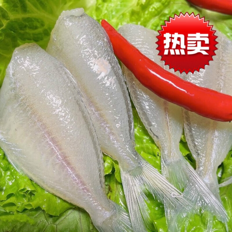 扒皮鱼新鲜小耗儿鱼冷冻马面鱼白尾剥皮鱼批发 1包2斤
