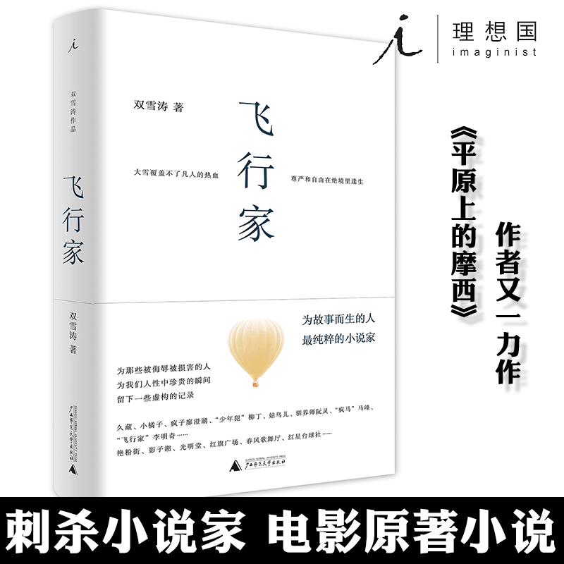 正版 理想国 飞行家 双雪涛著 平原上的摩西作者又一力作 杨幂雷佳音主演电影刺杀小说家原著小说