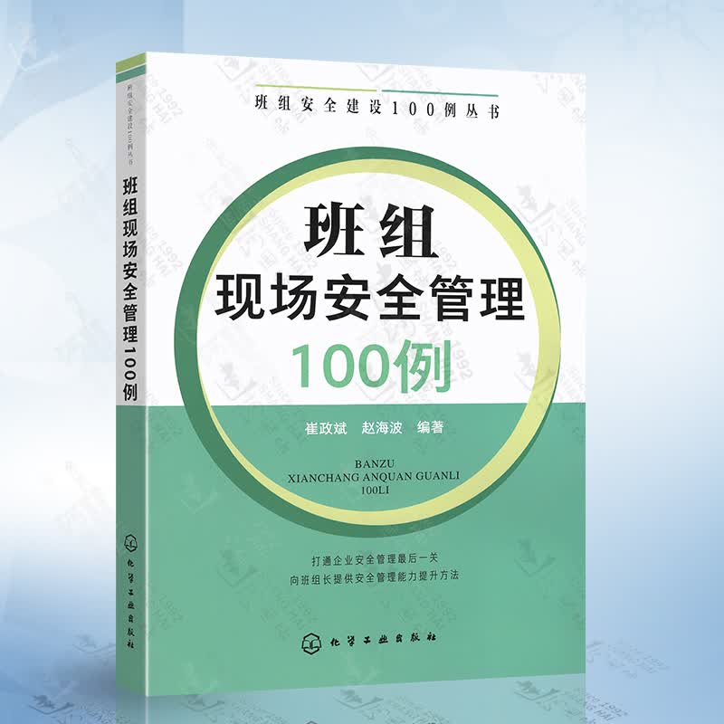 班组现场安全管理100例（崔政斌）