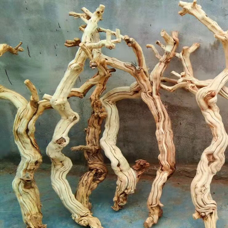 枯木 相关京东优惠商品排行榜 3 价格图片品牌优惠券 虎窝购