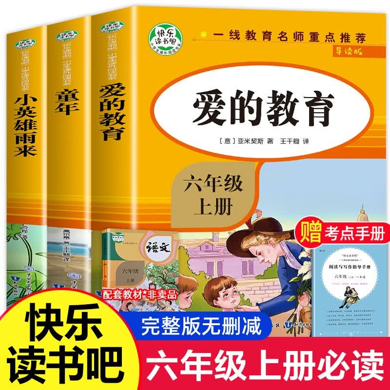 快乐读书吧六年级上全3册 童年+小英雄雨来+爱的教育 小学生语文经典名著阅读课外书属于什么档次？