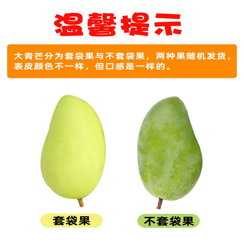 颜小荭 越南大青芒 大芒果约400g起  青皮芒 可生吃当季热带时令水果 严选4.5-5斤大果
