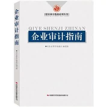 企业审计指南