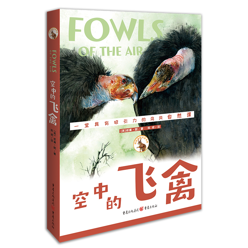 正版现货 百年传奇动物文学书系:空中的飞禽9787229144999