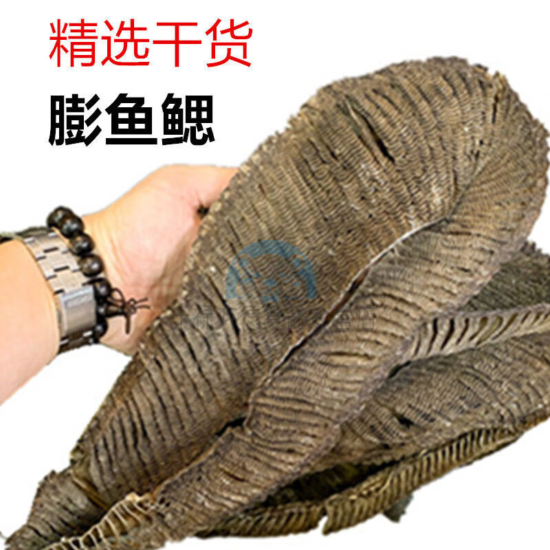 佳士禾膨鱼鳃干货 精选朋鱼腮彭鱼鳃 50克鱼鳃干