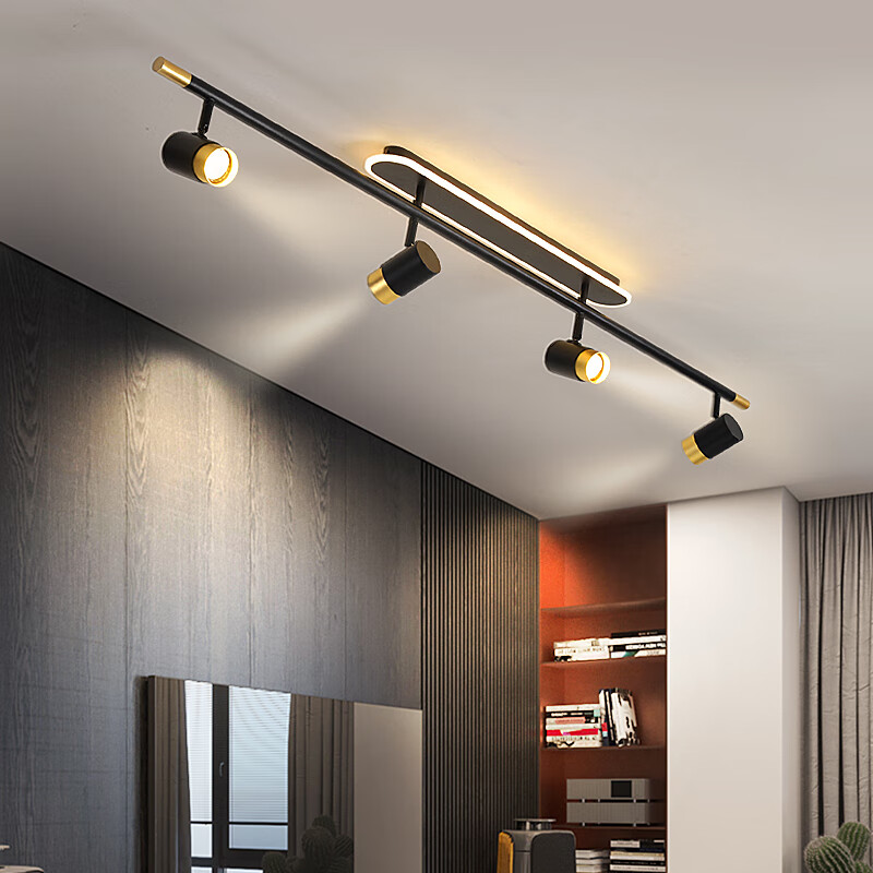 百合徽章 后现代轻奢明装吸顶射灯简约衣帽间阳台吧台灯饰灯具 a款