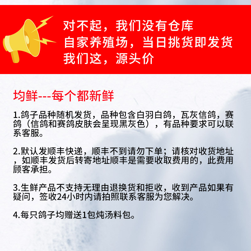 均鲜 新鲜老鸽子鸽子肉杂粮喂养田园养殖农家土鸽子炖汤产妇月子煲汤 700g 左右2只老鸽