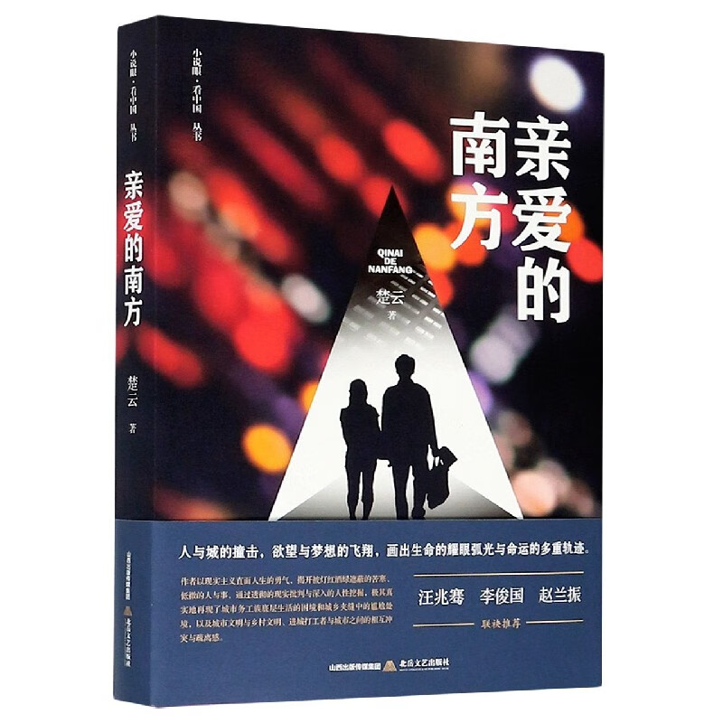亲爱的南方/小说眼看中国丛书