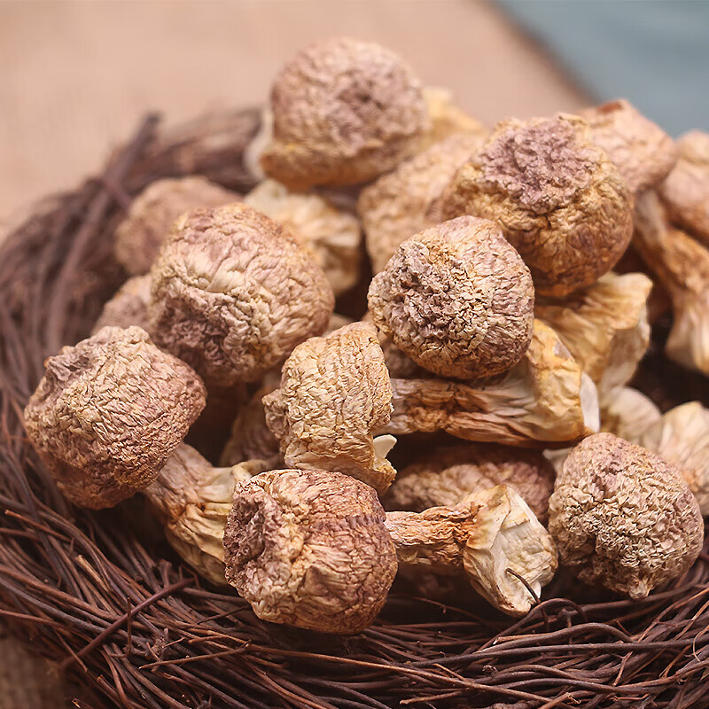 禾澹姬松茸干货500g云南特产新鲜姬松茸菌巴西菇松茸菌菇干蘑菇松茸菇