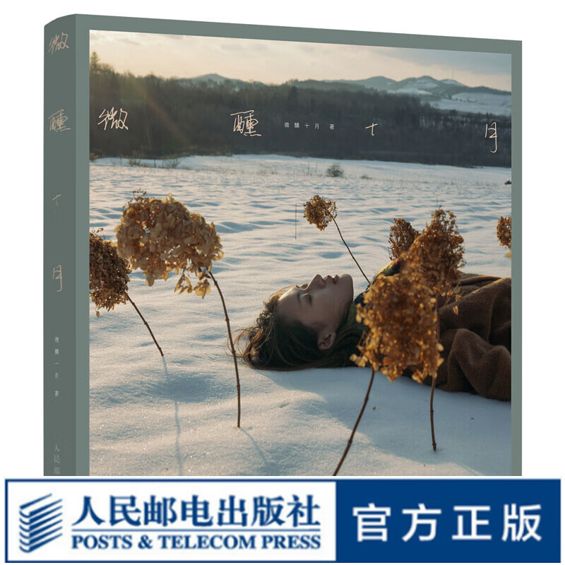 微醺十月 人像摄影作品集女性人像写真摄影画册图集光影构图影像艺术人像摄影书籍写真拍摄摆姿技巧