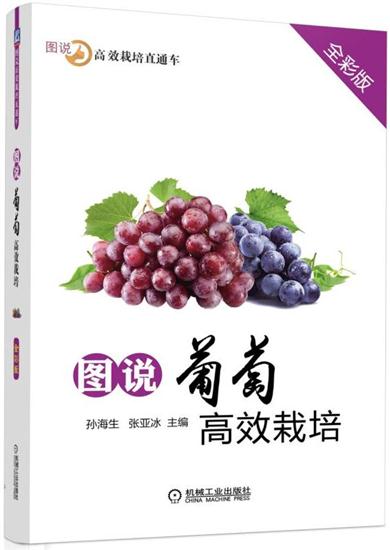 图说葡萄高效栽培(全彩版) 孙海生|7836768
